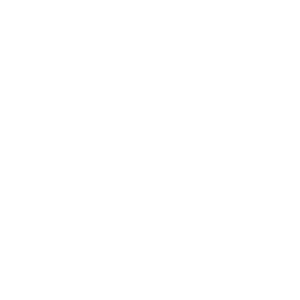 Homeva White Logo, smart home automation company